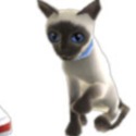 Post thumbnail of Xbox 360 Avatars Get Pets