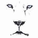 Post Thumbnail of What Do You Think of Mac OS X Lion So Far?
