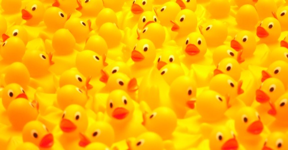 rubber-ducks.jpg